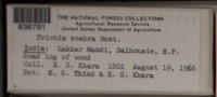 Image Associated With the Occurence